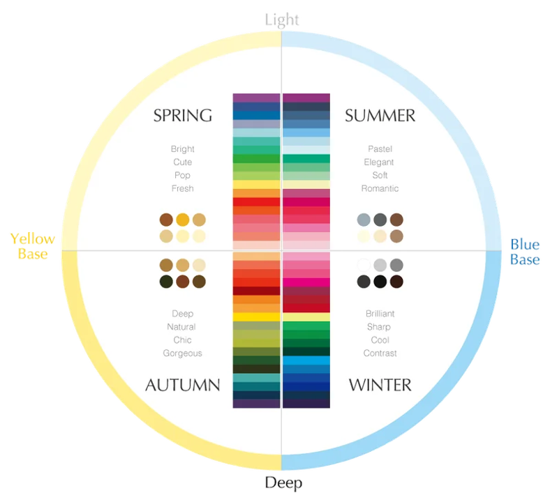 パーソナルカラー別イエローべ―スとブルーベースの色