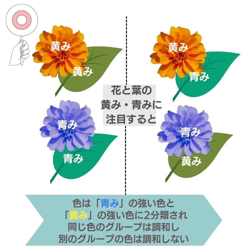 イエローべ―スとブルーベース