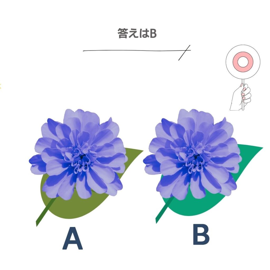 イエローべ―スとブルーベース